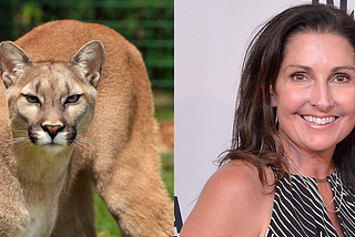 Liberty University to Change Mascot to Cougars — SATIRE