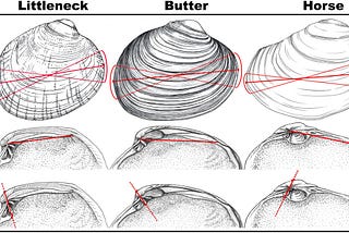 Harnessing Ancient Shellfish Data for Modern Coastal Restoration: A Case Study from Tseshaht First…