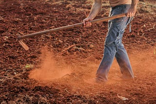Preparing For A National Crisis: Discovering Self-Sufficiency & Homesteading