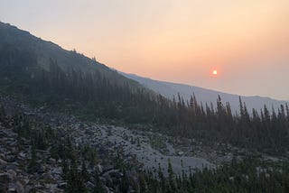 In we breathed wildfire smoke, out the forests released carbon — a record setting amount, of course