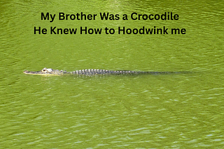 A crocodile is swimming in green water.
