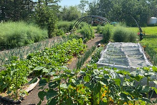Growing Our Food Is the Ultimate Act of Rebellion