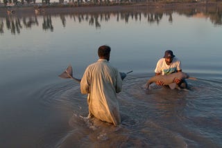 Saving Indus River Dolphins — Pakistan