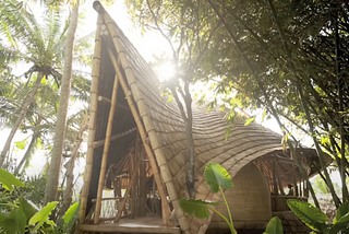 Regenerating the environment with Bambu