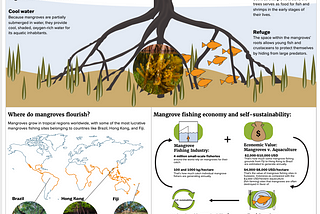 Mangroves’ fish supply as a means of achieving self-sustainability