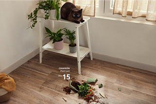 Pets Gone Wild? IKEA’s Purrfectly Chaotic Campaign Wins Online
