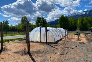 I’m Too Busy To Write — I’m Gardening