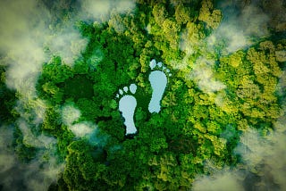 Why Have Web3 Climate Solutions Delayed in Picking Up