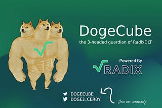 What is DogeCube?