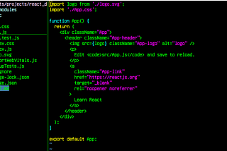 Setting Up Neovim as an IDE