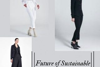 Future of Sustainable Luxury Fashion