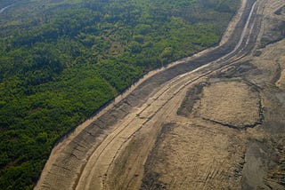 Imported Destruction: How Privatization Enables Environmental Harm