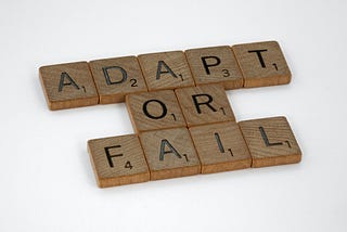 Change or Fail: The Shocking Truth about the Importance of Adaptability in IT Project Management.