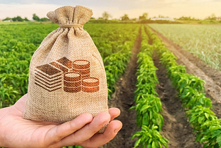 Investments in the agro-industrial complex of Ukraine