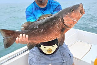 Top 5 Must-Visit Destinations for Fishing in Costa Rica