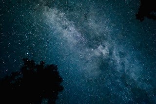 It’s like watching the night sky!
