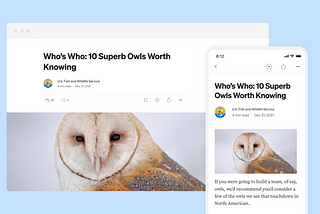 A simpler page for stories on Medium