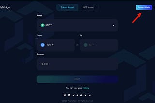 How do you manage your $NEST on different chains?