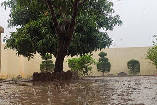 Pourrais-je dire que quelque chose m’inspire plus que la pluie ?