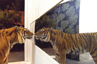 Exhibition Review: Sleeping with a tiger