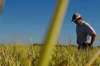 Extending the Land Grant Mission: The World Food Center at UC Davis