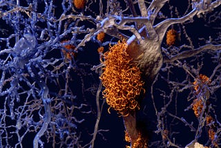 Taufold — Alzheimer’s Blood Test