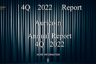 REPORT AS OF NOVEMBER 23, 2022 OF THE DEVELOPMENT OF THE AURICOIN MONEY MACRO PROJECT.