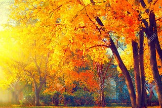 Picture of autumn, fall scene. By Annette lathion