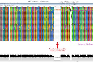 Either SARS-CoV-2 evolved from BANAL + a PRRA insertion, or it was engineered