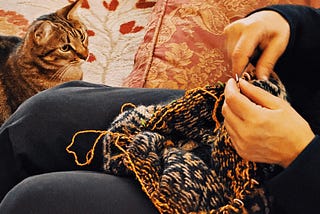 Fascinated — yarn-focused felines ignore the knitter’s protest.
