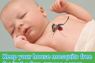 Keep your house mosquito free for just a few   rupees a year