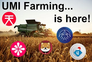 UMI Staking and Farming coming to Sora Network