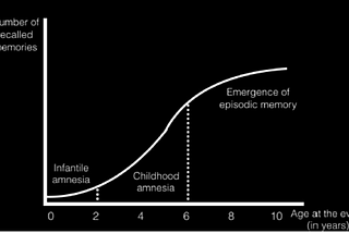 Where did our childhood memories go?