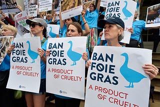 Foie Gras Ban Blazes Through City Council, Leaving Other Bills to Collect Dust