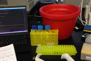 A biology lab desk with a laptop.