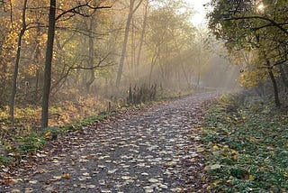 Lonely? How About A Walk In The Woods