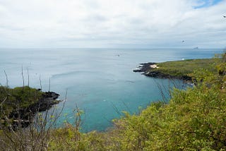 Diary from the Galápagos, Week 1