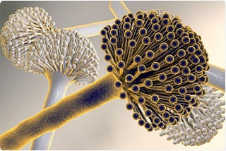 Biotechnology Beyond Earth