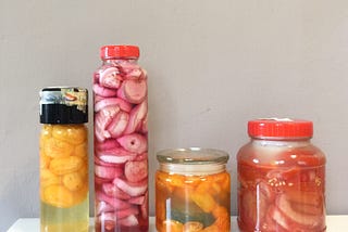乳酸發酵蔬菜（酸白菜、酸豆、發酵蒜頭⋯⋯）
