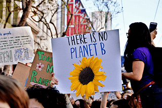 Un tournesol peut-il sauver le climat ?