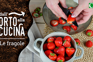Dall’orto alla cucina — Le fragole
