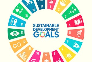 Understanding SDGs for India