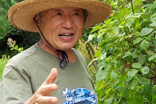 Learning like a Japanese Garden