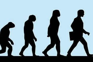 O QUE É EVOLUÇÃO DIRIGIDA?