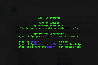 Vi the Unix text editor