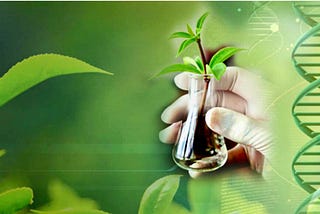 DNA technology in agriculture