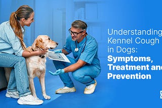 Health Kennel Cough in Dogs (Symptoms, Treatment, and Prevention)