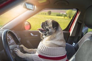 Getting out of the car safely