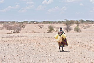 Kenyan pastoralist women build up adaptive capacity amid climate crisis