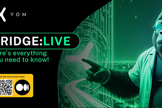 Bridge: LIVE — Here’s Everything You Need to Know!